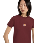 The Dickies Womens Maple Valley Regular T-Shirt in Andorra