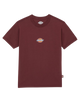 The Dickies Womens Maple Valley Regular T-Shirt in Andorra