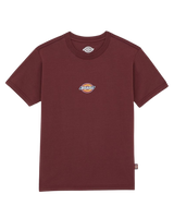 The Dickies Womens Maple Valley Regular T-Shirt in Andorra