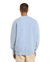 Plentywood Sweatshirt in Endless Sky