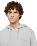 The Dickies Mens Plentywood Hoodie in Light Grey