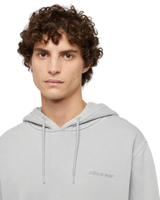 The Dickies Mens Plentywood Hoodie in Light Grey