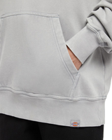 The Dickies Mens Plentywood Hoodie in Light Grey