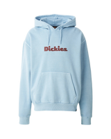 Slayden Hoodie in Glacier Lake