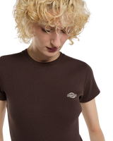 The Dickies Womens Gladeville T-Shirt in Chocolate Brown
