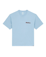 Slayden T-Shirt in Glacier Lake