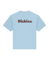 Slayden T-Shirt in Glacier Lake