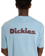 Slayden T-Shirt in Glacier Lake