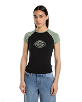 The Dickies Womens Forth Shaw T-Shirt in Sea Spray