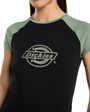 The Dickies Womens Forth Shaw T-Shirt in Sea Spray