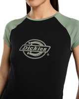 The Dickies Womens Forth Shaw T-Shirt in Sea Spray