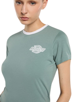 Plainville Ringer T-shirt in Stormy Sea