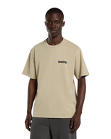 Darrtown T-Shirt in Eucalyptus