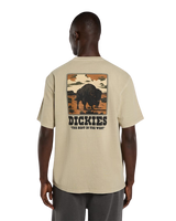 Darrtown T-Shirt in Eucalyptus