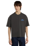 The Dickies Mens Shonto T-Shirt in Egret