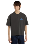 The Dickies Mens Shonto T-Shirt in Egret
