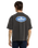 The Dickies Mens Shonto T-Shirt in Egret
