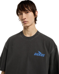 The Dickies Mens Shonto T-Shirt in Egret