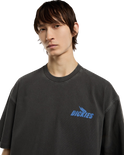 The Dickies Mens Shonto T-Shirt in Egret