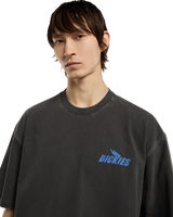 The Dickies Mens Shonto T-Shirt in Egret