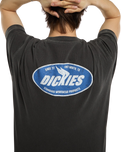 The Dickies Mens Shonto T-Shirt in Egret