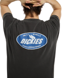 The Dickies Mens Shonto T-Shirt in Egret