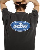 The Dickies Mens Shonto T-Shirt in Egret