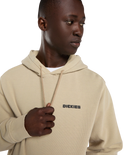 The Dickies Mens Mcdermitt Hoodie in Desert Sand