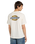 The Dickies Mens Paradise T-Shirt in Egret