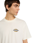 The Dickies Mens Paradise T-Shirt in Egret