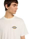 The Dickies Mens Paradise T-Shirt in Egret