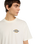 The Dickies Mens Paradise T-Shirt in Egret