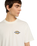 The Dickies Mens Paradise T-Shirt in Egret