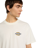 The Dickies Mens Paradise T-Shirt in Egret