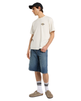 The Dickies Mens Paradise T-Shirt in Egret