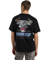Lakeridge T-Shirt in Black