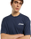 The Dickies Mens Cornville T-Shirt in Navy