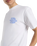 The Dickies Mens Minden T-Shirt in White