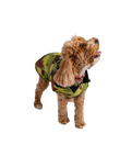 Dog Dryrobe in Green Camo & Black