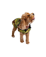 Dog Dryrobe in Green Camo & Black