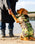 Dog Dryrobe in Green Camo & Black