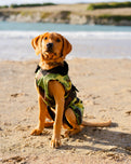 Dog Dryrobe in Green Camo & Black