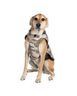 Dog Dryrobe in Sand Camo