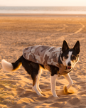 Dog Dryrobe in Sand Camo