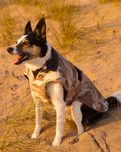 Dog Dryrobe in Sand Camo