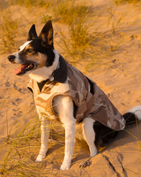 Dog Dryrobe in Sand Camo
