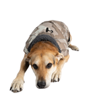 Dog Dryrobe in Sand Camo