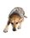 Dog Dryrobe in Sand Camo