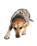 Dog Dryrobe in Sand Camo