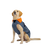 Dog Dryrobe in Dark Grey & Orange